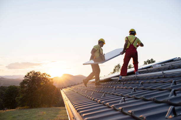 Best Metal Roofing Installation  in Chinle, AZ
