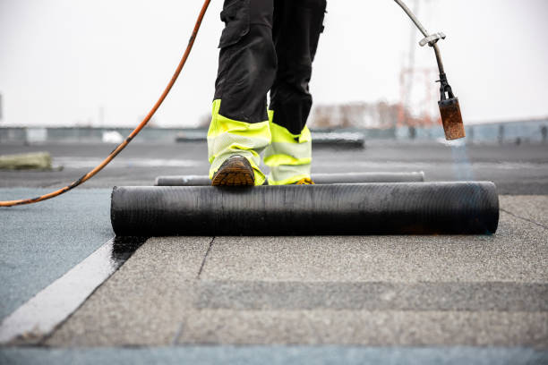 Best Roof Moss and Algae Removal  in Chinle, AZ